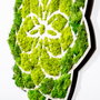 Wallity Daisy Accesorio decorativo de pared Verde y Blanco
